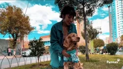 🐾❤️  Una nueva historia está por comenzar… Entre Patitas