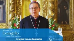 Gospel Reflection | Sunday, July 26
