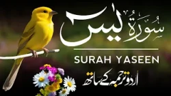 Surah Yaseen With Urdu Translation - Episode 02 | Surah Yasin Urdu Tarjuma ke Sath