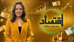 بیمه واقعاً پول دور ریختنه؟  راز مدیریت ریسک و ثروتمند موندن | اقتصاد به زبان ساده ۷