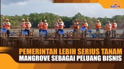 GOVERNMENT TAKES MANGROVE PLANTING SERIOUSLY AS A BUSINESS OPPORTUNITY