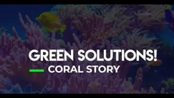 Positively GEM: Coral Story
