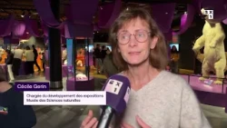 Une exposition dévoile les incroyables capacités des animaux