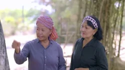 🎥 រឿង #វាលស្រែថែស្នេហ៍ [Ep25] #B3