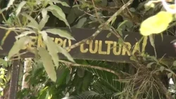 Residents of the Térraba Indigenous Territory demand improvements in access to drinking water