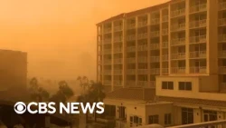 Watch: Shocking videos show the moment Hurricane Isaias hit the Gulf Coast