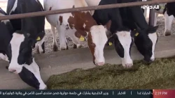 أرض الخير | التعامل مع الثروة الحيوانية أثناء ارتفاع درجات الحرارة