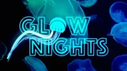 Glow Nights at Georgia Aquarium