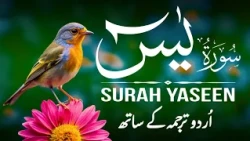 Surah Yaseen With Urdu Translation - Episode 04 | Surah Yasin Urdu Tarjuma ke Sath