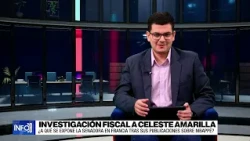 ¿Puede Francia pedir la extradición de Celeste Amarilla para juzgarla por racismo?