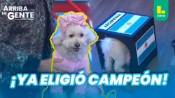 Madame Pipoca predicts the World Cup champion! Will she get it right? | Arriba Mi Gente