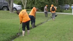 Help keep the stormwater flowing by properly maintaining swales