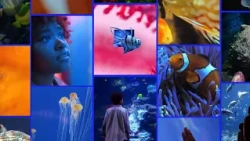 Georgia Aquarium
