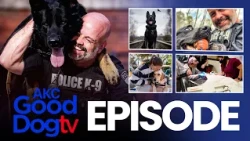This K9 Fell 30ft and Still Caught the Suspect | AKC Good Dog TV