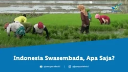 8 Komoditas Pangan Sudah Swasembada, Apa yang Masih Jadi Tantangan?