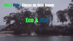Cinzas de Belo Monte na TVídeoNews