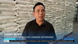 DROUGHT IMPACT: LOCAL RICE PRODUCTION IN KETAPANG AND NORTH KAYONG DECLINES