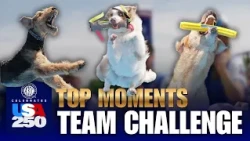 Top Moments from the AKC Diving Dogs Team Challenge | AKC Celebrates USA 250