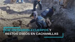 LOCALIZAN CUATRO CUERPOS EN FOSA CLANDESTINA | CANAL 33