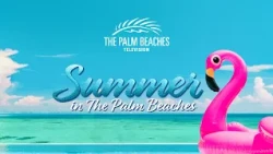 Splash, Savor and Explore this Summer 😎
