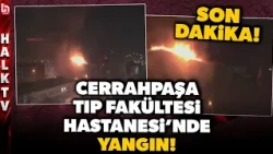 SON DAKİKA! Cerrahpaşa Tıp Fakültesi Hastanesi’nde korkutan yangın! Ekipler müdahale ediyor!