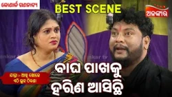 Bagha Pakhaku Harina Asichi | Akhi Khoje Ethi Luha Thikana | Konark | Jatra Best Scene | AlankarTV