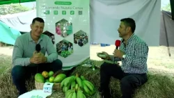 De la ciudad al campo: ¡Así se transforma una finca en La Plata, Huila! 🇨🇴🌾