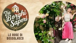 TRA BORGHI E SAPORI - Le rose di Bossolasco