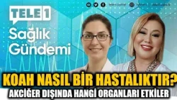 What is COPD and which organs does it affect besides the lungs? Assoc. Prof. Dr. Pınar Atagün exp...