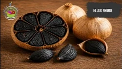 EL AJO NEGRO