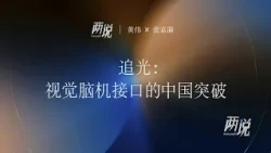 "Liangshuo" (78): Chasing Light: China's Breakthrough in Visual Brain-Computer Interfaces