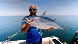 Fishing Tracks 2 - Ep. 1 - Bluefin Drifting (Suzuki)