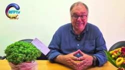 CULTURA EM MOVIMENTO