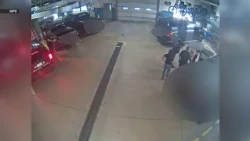 Video shows stolen Picasso print being returned to Milwaukee police 8 years later
