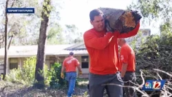 Hurricane Isaias cleanup stretches on in Alabama and Florida panhandle, volunteers urged to help