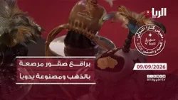 تغطية خاصة من معرض كتارا الدولي للصيد والصقور "سهيل" 09-09-2026