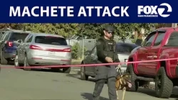 Man barricades in San Jose home after allegedly attacking neighbor with machete | KTVU