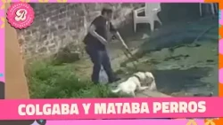 Adiestrador cayó por maltrato animal: tenía un perro muerto en la pileta | #ALaBarbarossa