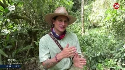 🌎 CONSERVATION IN MEXICO | Scientists search for the first harpy eagle nest in Chiapas