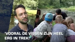 Kinderen ontdekken de natuur in Stadspark