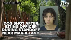 Police: Woman crashes gate near Mar-a-Lago after standoff, officer bitten by dog