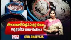 తెలంగాణలో కుళ్లిన పచ్చళ్ల దందా..పచ్చళ్లలోనూ బూజు కలకలం! | TG-Safe Raids In Telangana | CVR News