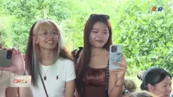 From Longhouses to Durian Orchards | Dak Lak Television