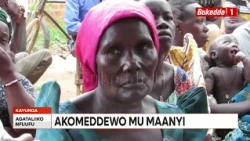 Agataliiikonfuufu:  Omusajja eyanoba mu myaka 15 akomeeddewo mu ggiya   Abadde atyagala kutunda kiba