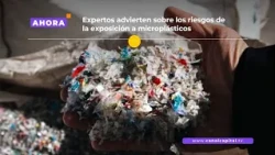 Microplásticos podrían afectar la salud cardiovascular, advierte investigación | Salud