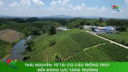 Thai Nguyen: From Crop Restructuring to Growth Driver