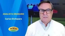 Carlos Etchepare | Grain Analyst | 08/26/26 | MV