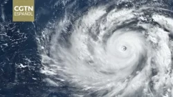 Typhoon Bavi expected to hit mainland China on Saturday night