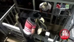 Transmisión Sanjosecito TOROS CBTV