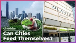 Is The Future Of Farming In Cities? NYC Thinks So